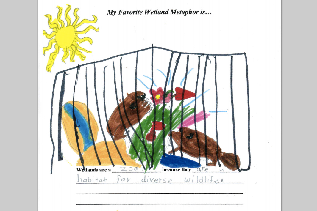 Student sample: Wetlands metaphor